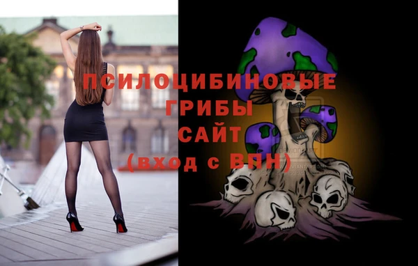 дурь Аркадак
