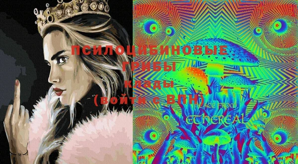 ПСИЛОЦИБИНОВЫЕ ГРИБЫ Остров
