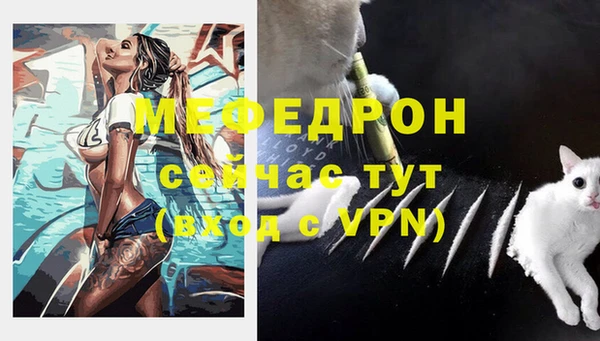 прущие грибы Осташков